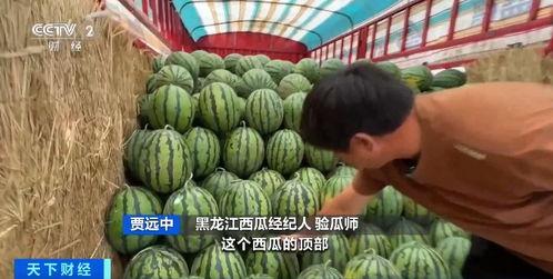 五一吃瓜网最新官方入口,揭秘五一假期热门瓜料,独家爆料一网打尽!