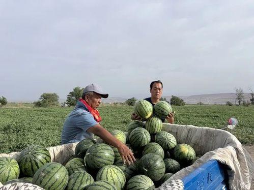 五一吃瓜网最新官方入口,揭秘五一假期热门瓜料,独家爆料一网打尽!